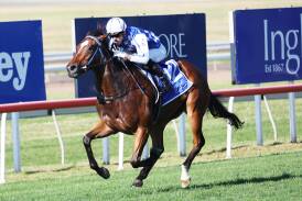Overfull wins the 2YO Inglis Challenge at Scone on Friday. Picture by Peter Lorimer