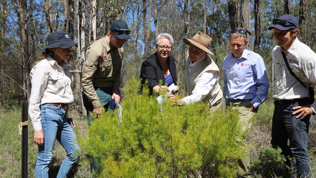 Minister Penny Sharpe and Biodiversity Conservation Trust representatives at Monica Oppen's Rothbury property