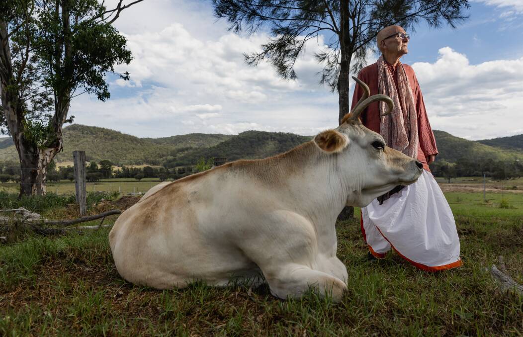 New Gokula Farm manager Pratapana with one of the property's cows. Photo by Marina Neil.