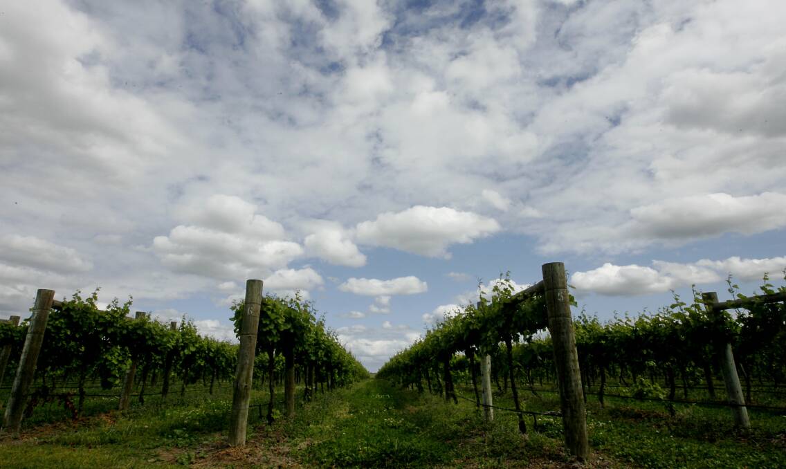 Australia's grape and wine sector is experiencing an economic downturn.