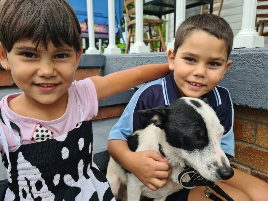 LUCKY PUP: Diesel, the 18-month-old Jack Russell pictured here with owner Lorelei Wainiqolo's children, Amariah, 4, and Ilaija, 5, had a lucky escape after a harrowing journey trapped in the engine of Ms Wainiqolo's vehicle.