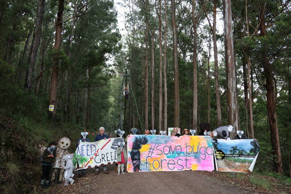 Protesters at the frontline in Bulga are calling on the NSW State Government to come up with a plan to transition out of the unprofitable logging of native forests.