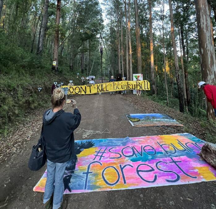 Forest protesters gathered at Bulga ahead of the NSW Forestry Corporation's planned continuation of logging on Monday, January 9.