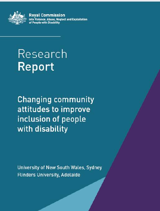Disability inclusion report