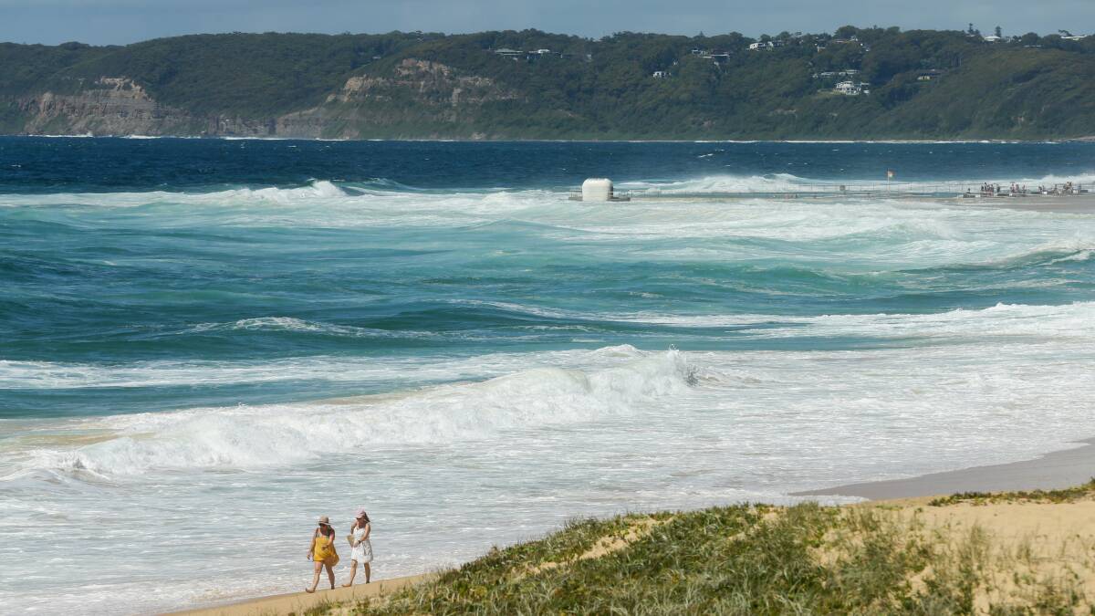 Getting warmer: Bill Leggat from the University of Newcastle says a marine heatwave off the coast of NSW may have a severe impact on underwater organism if it continues to warm. Picture: Jonathan Carroll