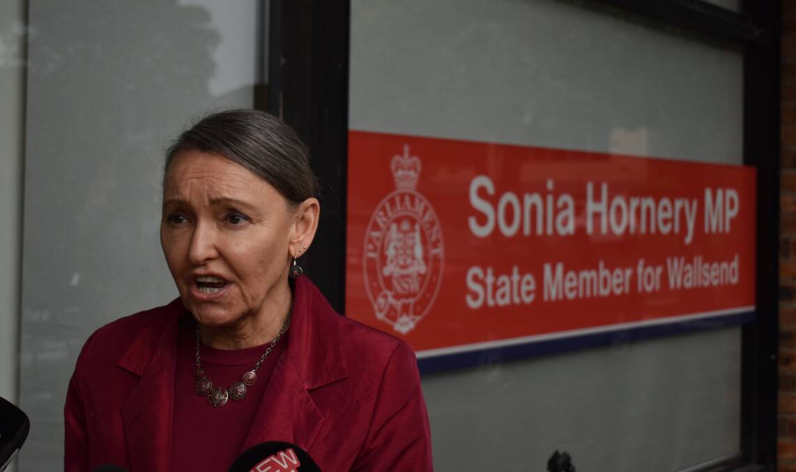 Wallsend Labor MP Sonia Hornery. Picture by Ethan Hamilton. 