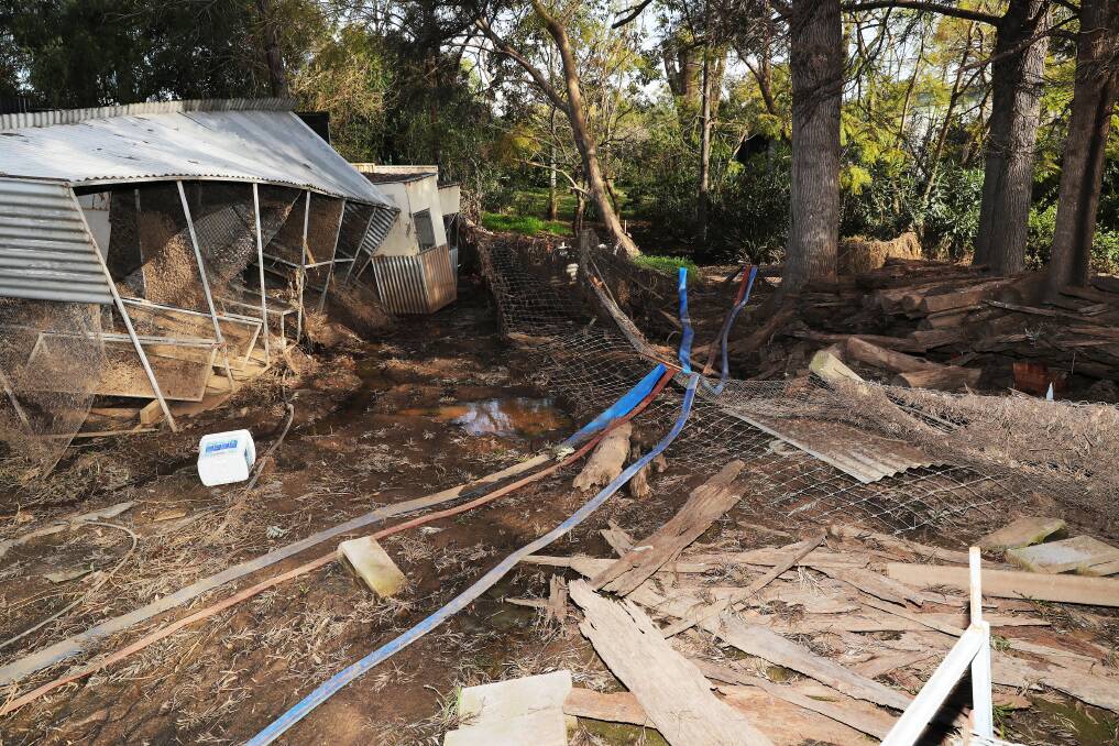Mess: With bird cages and fences strewn across the backyard, Mr Latham said he hasn't been able to begin cleaning up because, like much of Broke, he is still pumping water off the property. Pictures: Peter Lorimer