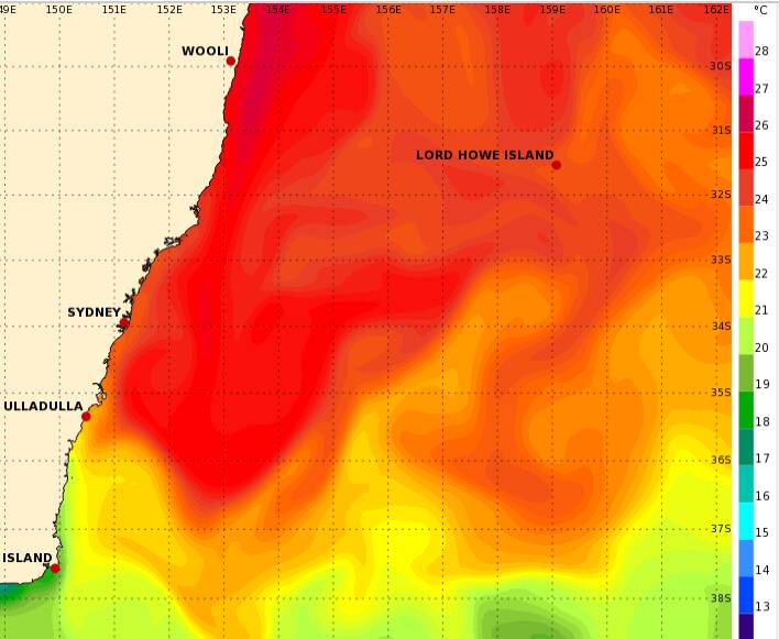 Marine heatwave off the NSW coast. Image: Bureau of Meteorology 