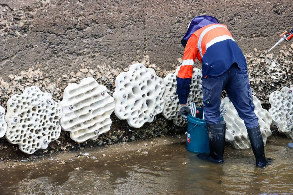 Living Seawall: The purpose of living seawalls is to combat the loss of natural shorelines caused by marine construction by installing 3D printed habitats.