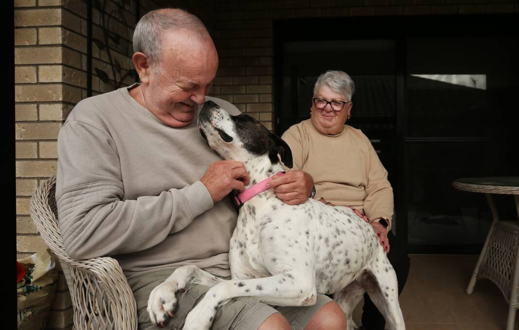 IT MUST BE LOVE: Zali has settled in well with her new family, after more than 300 days in the RSPCA shelter. Picture: Simone De Peak.