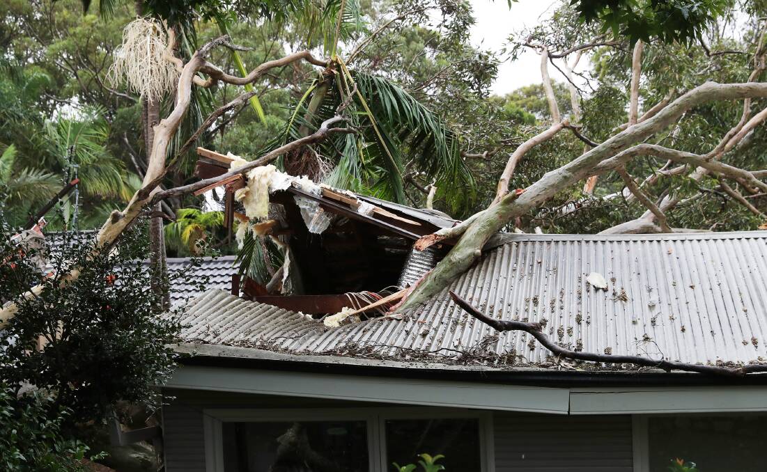 Weather damage: Heavy winds caused two trees to fall on a house and two neighbouring residences in New Lambton on 1st April. Picture: Peter Lorimer