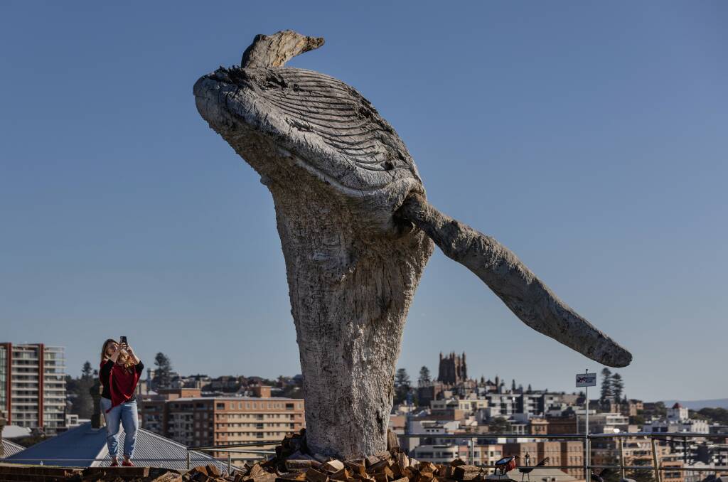 A whale by Michael Greve now overlooks Newcastle's coastline. Picture by Marina Neil