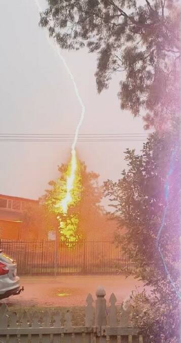 A lightning strike appeared to hit a tree in the grounds of Waratah Public School. Picture supplied