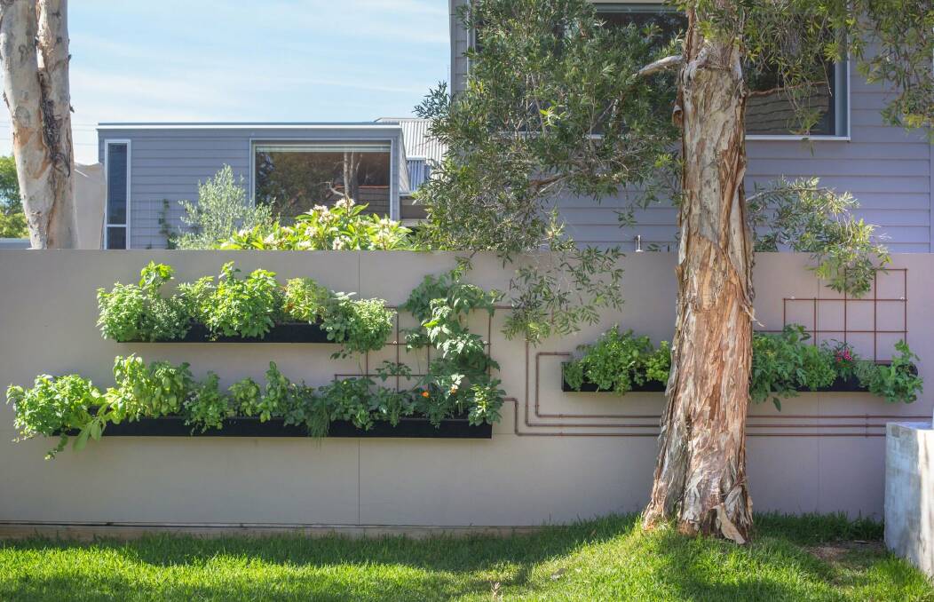 Installed garden systems by Herb Urban.