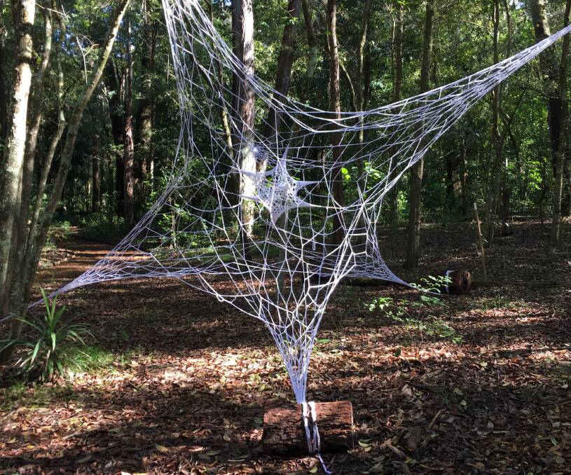 PATTERNS IN NATURE: Louisa Magrics' white suspended web creates mysterious tension among the trees at Hunter Region Botanic Gardens.