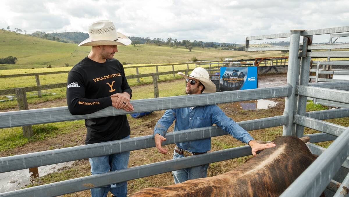 The real deal: Beau Ryan talks with rodeo champ Cliff Richardson about a riding a rodeo bull Hell Yeah at Melville, NSW. Picture: Max Mason-Hubers