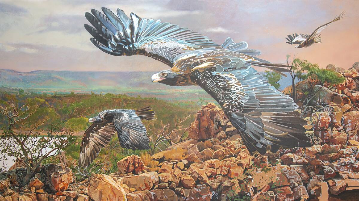 MONARCHS OF THE SKY: Stephen Jesic's almost completed painting of wedge-tailed eagles.
