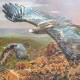 MONARCHS OF THE SKY: Stephen Jesic's almost completed painting of wedge-tailed eagles.