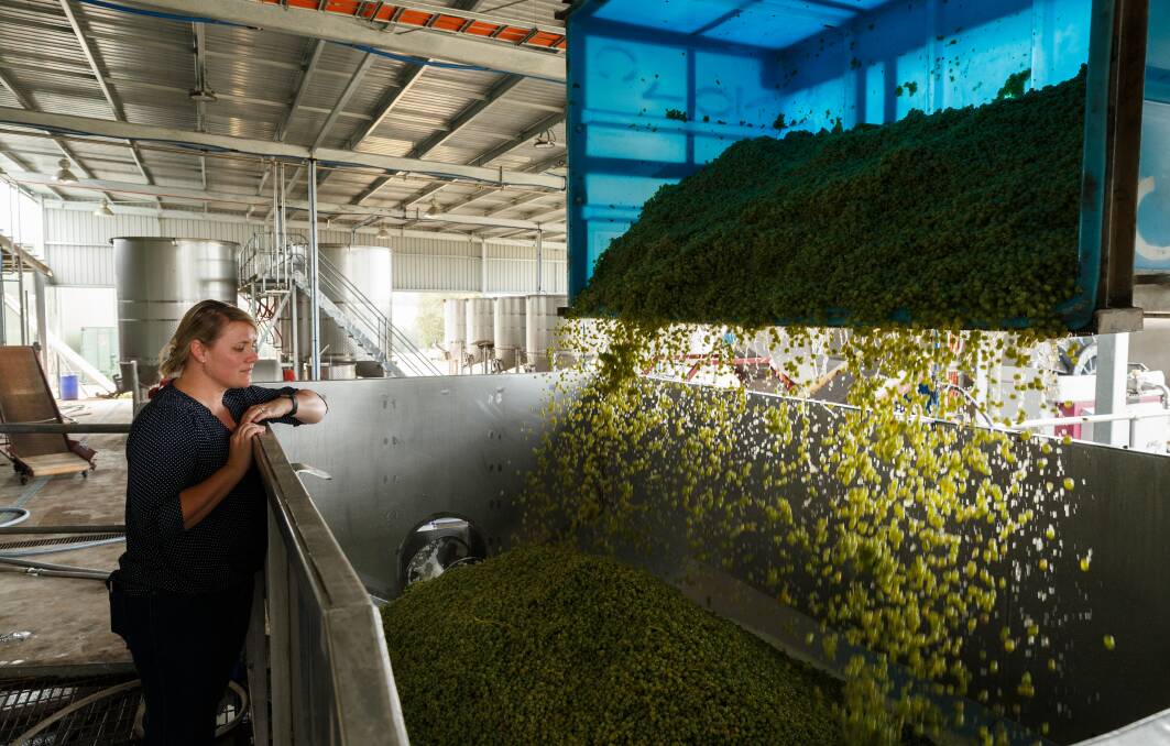 KEY TIME: Liz Silkman watching as a load of grapes are tipped into a hopper to be de-stemmed. Picture: Max Mason-Hubers 