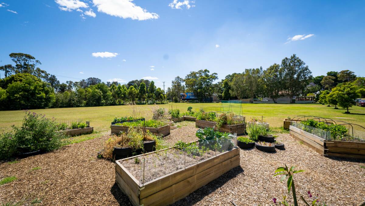 Green horizons: The Tighes Hill community garden in its new location. Picture: Mick Ross 