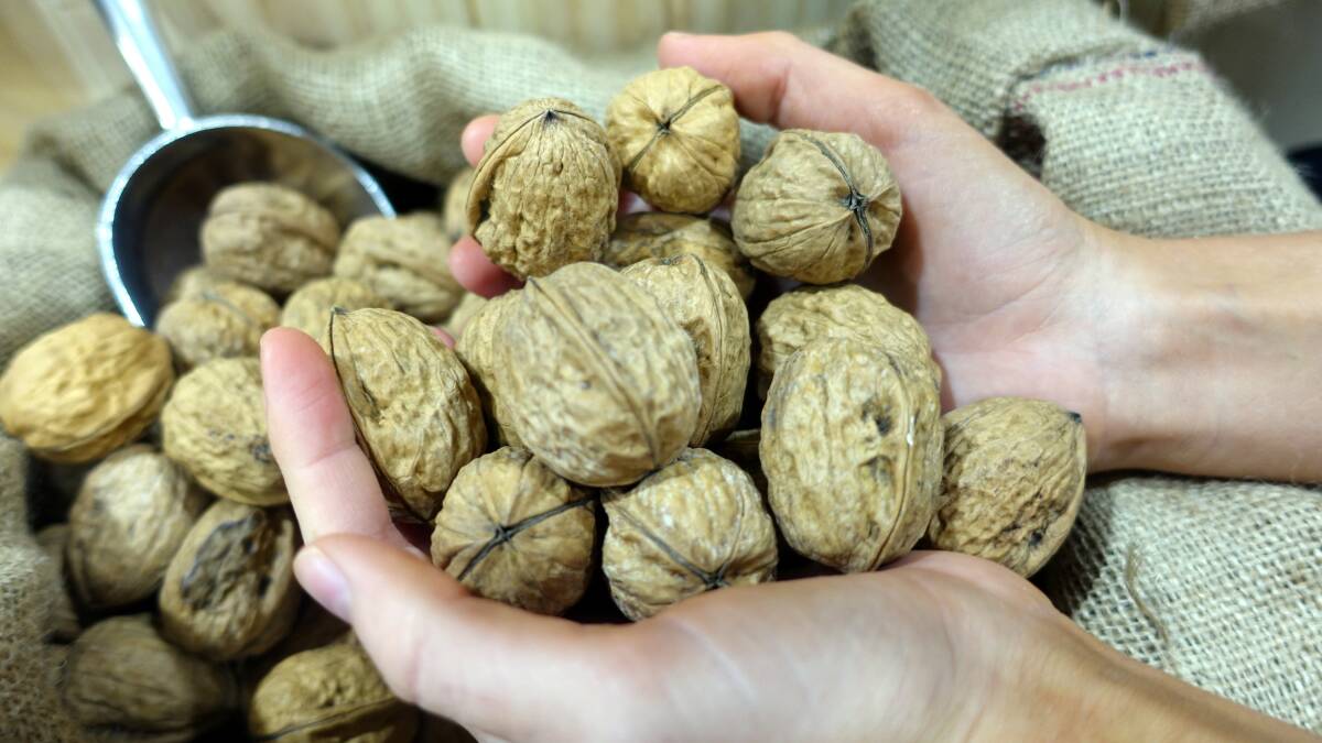 Fresh bulk: Walnuts in the Scoop Wholefoods store at The Junction Fair.