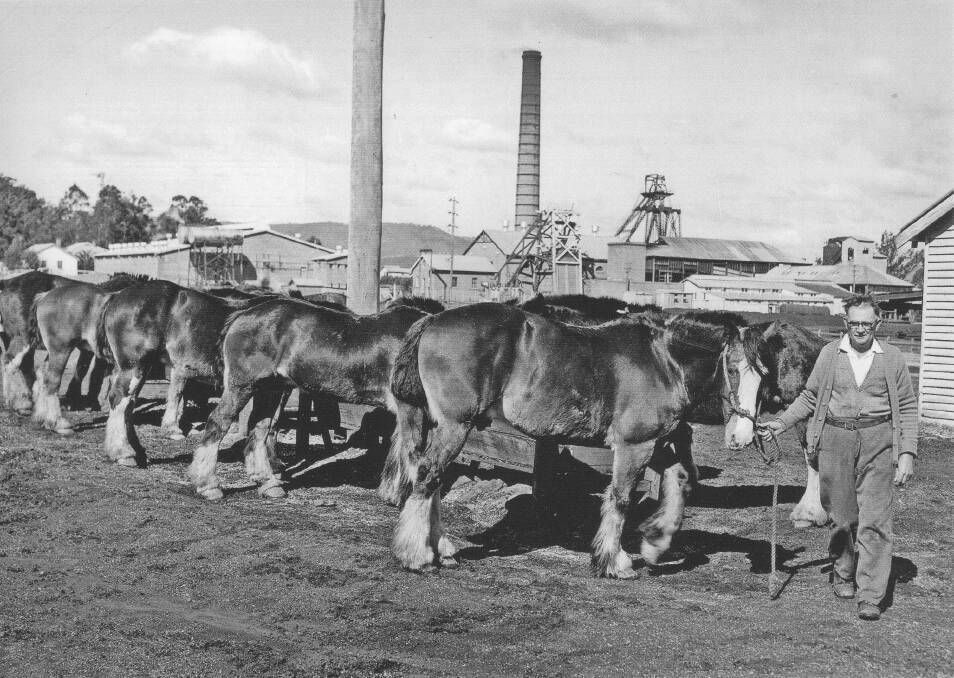Scene long gone: A hostler leads mine horses back to their stable at Stanford Main. Picture: Courtesy Ross Mainwaring Collection