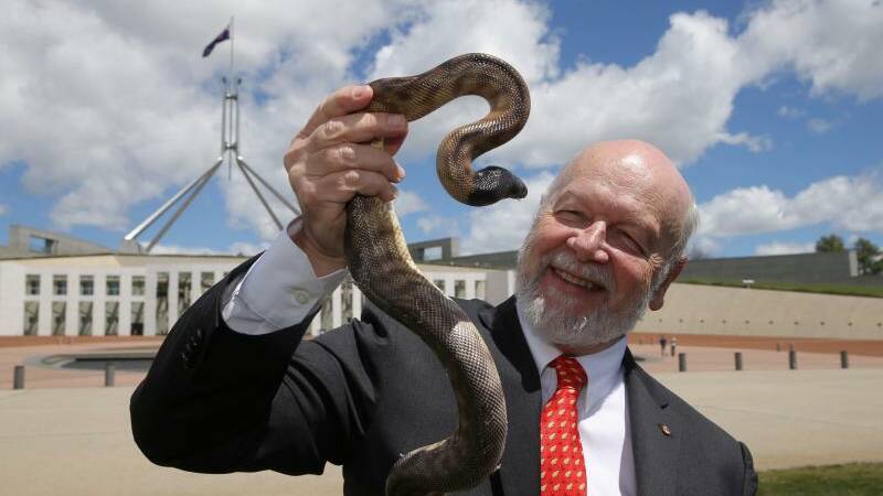 FIGHTNG BACK: Professor Shine with a black-headed python, one creature which has   benefited from the cane toad spread.