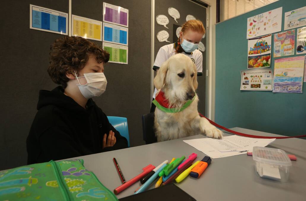 Task at hand: Delta Dog Milly with Callum Bate 14yrs and Ella Harcourt 14yrs visiting the autism support class. Picture: Simone De Peak