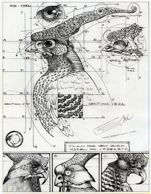Wildly original: Trevor Weekes has always invented creatures, particularly birds.