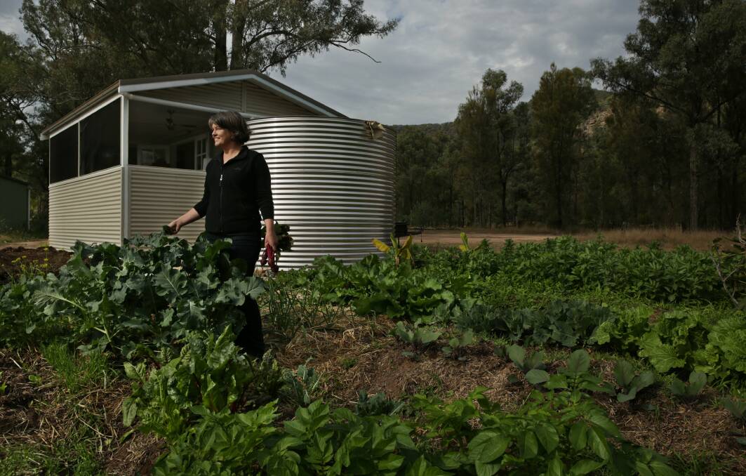 Satisfaction: Tricia Hogbin tending her winter garden adjacent to her family's tiny container home in the Hunter Valley. Picture: Simone De Peak