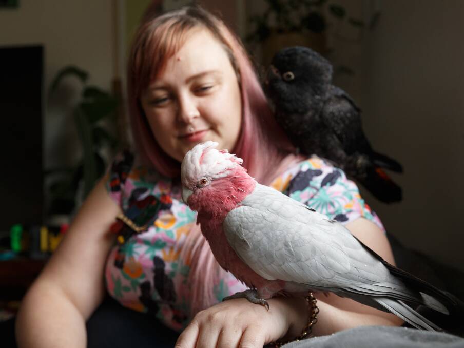 Companions: Caitlin Lee with two birds in her Maitland home. Picture: Max Mason-Hubers