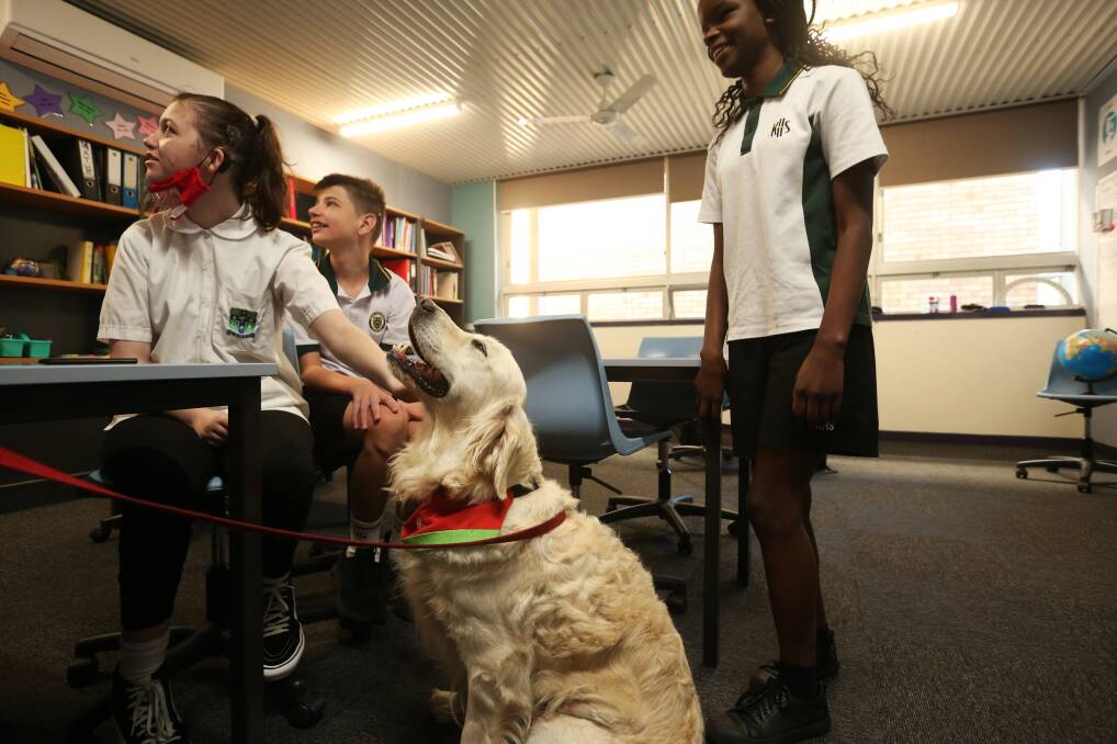 Here if you need: Milly visiting the Yr7-11 Hearing Support class at Kotara High School. Picture: Simone De Peak