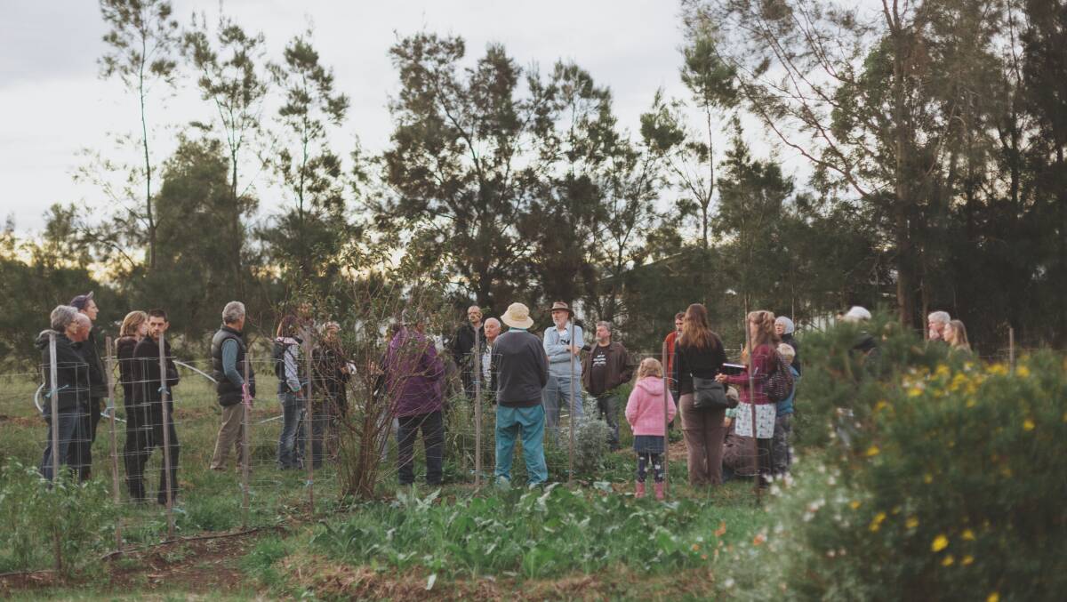 Welcome to Purple Pear: A public day at the farm. Picture: Myf Garven