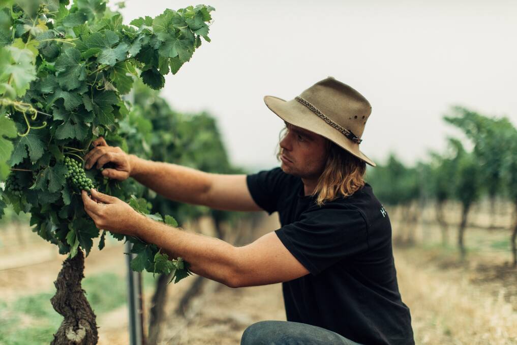 Bright future: Winemaker and vigneron Angus Vinden. Picture: Wine Australia