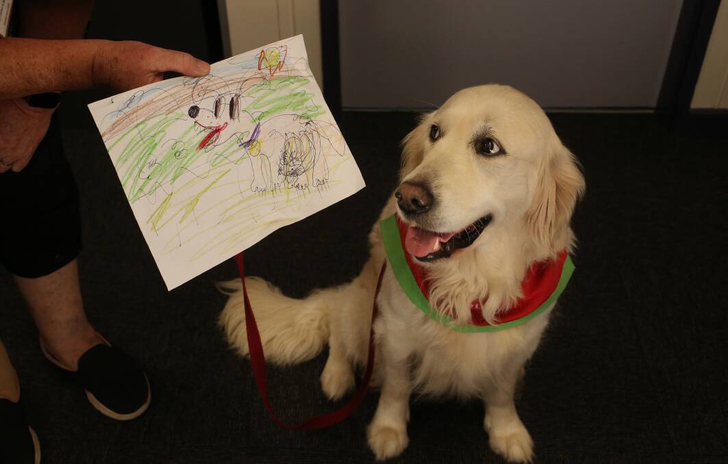 One and the same: Milly looks at a drawing one of the students made of her. Picture: Simone De Peak
