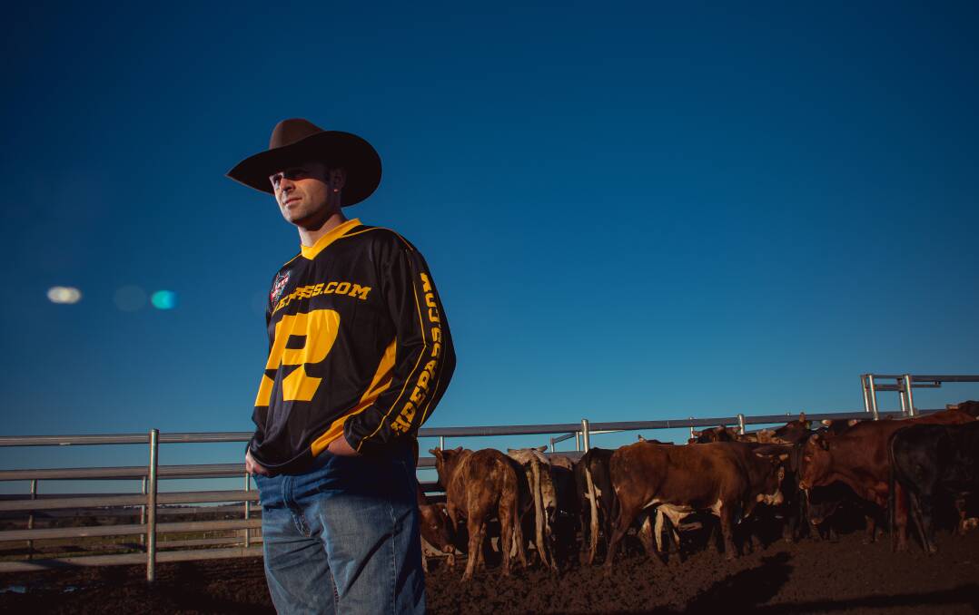 The country life: Rodeo clown and stockman Mitch Russell at Melville near the Hunter River with some of his two-year-old bulls. Picture: Simon McCarthy