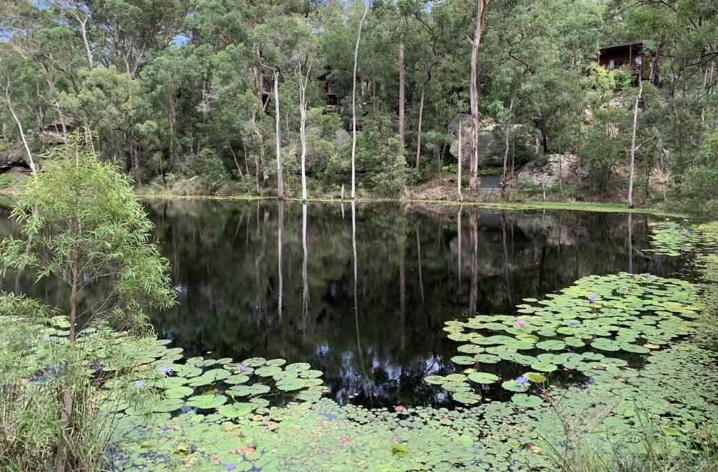 No traffic here: Billabong Retreat is on 12 acres of bushland.