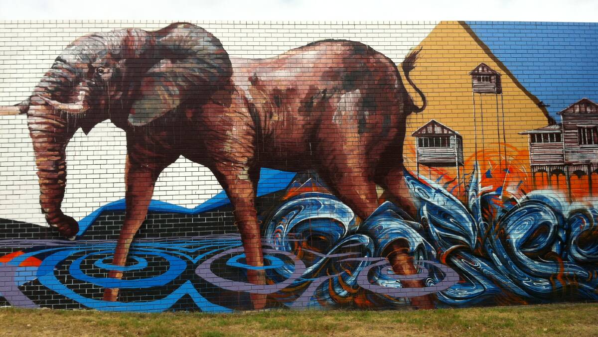 History: The big elephant in Hamilton by Fintan Magee and Soffles at Hit The Bricks 2013.