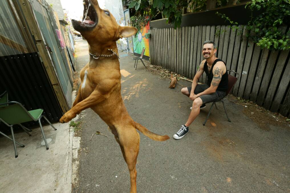 Full tilt: Author Damien Linnane with his dog Izzy B, in a laneway in Islington. Picture: Jonathan Carroll