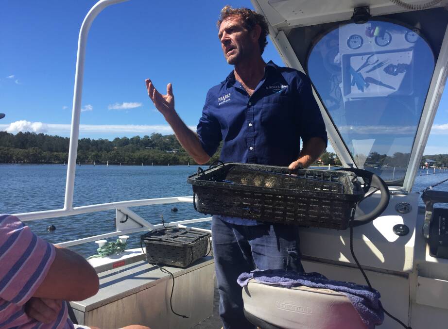 How it happens: A Pearls of Australia staffer explains how oysters are implanted to begin the pearl-growing process. Picture: Jim Kellar