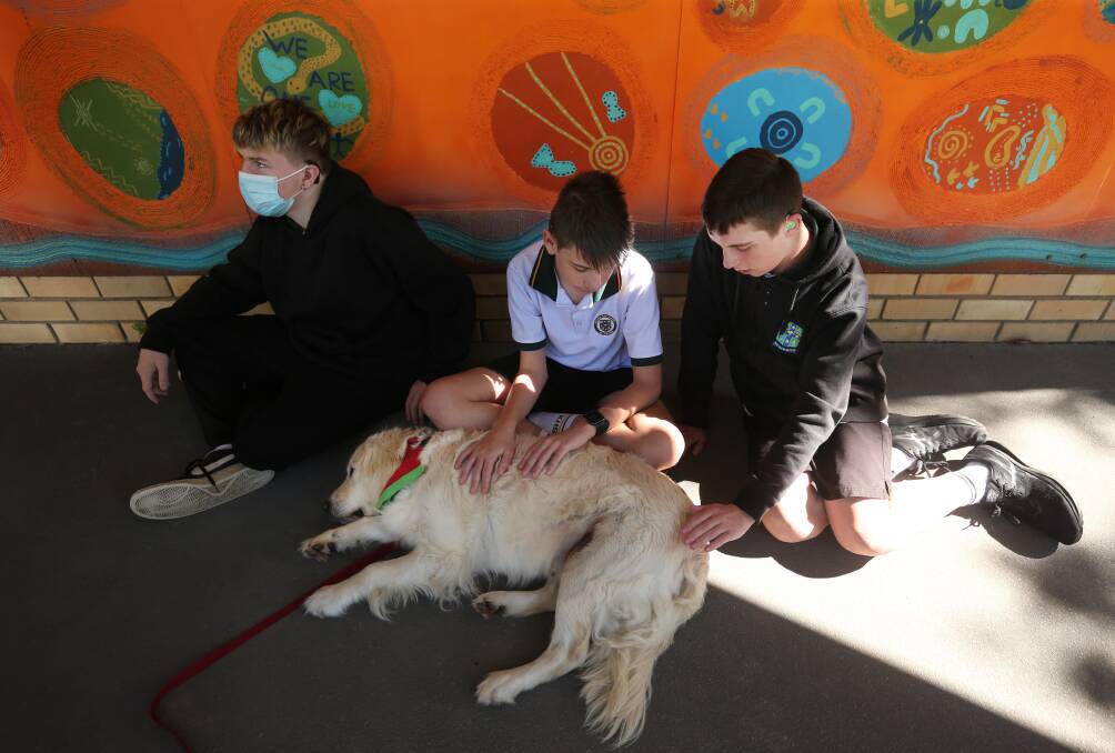A friend to all; Leo Gough, 14, Kian Thompson, 12, and Deacon Harty, 14, patting Milly outside in the playground at Kotara High School. Picture: Simone De Peak