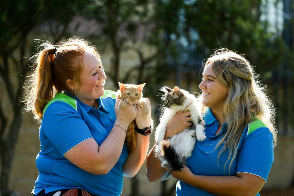 Ready to go: Hunter RSPCA staffers at the Rutherford shelter, Bronte Norsworthy, with cat Martha, and Rylee Grant, right, with Annabelle. Picture: Jonathan Carroll 