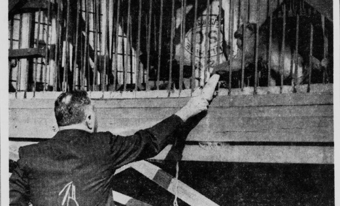 Strange but true: A newspaper clipping shows Dr Leighton-Jones feeding one
of his monkeys in a cage at his Eraring home (from 1939).