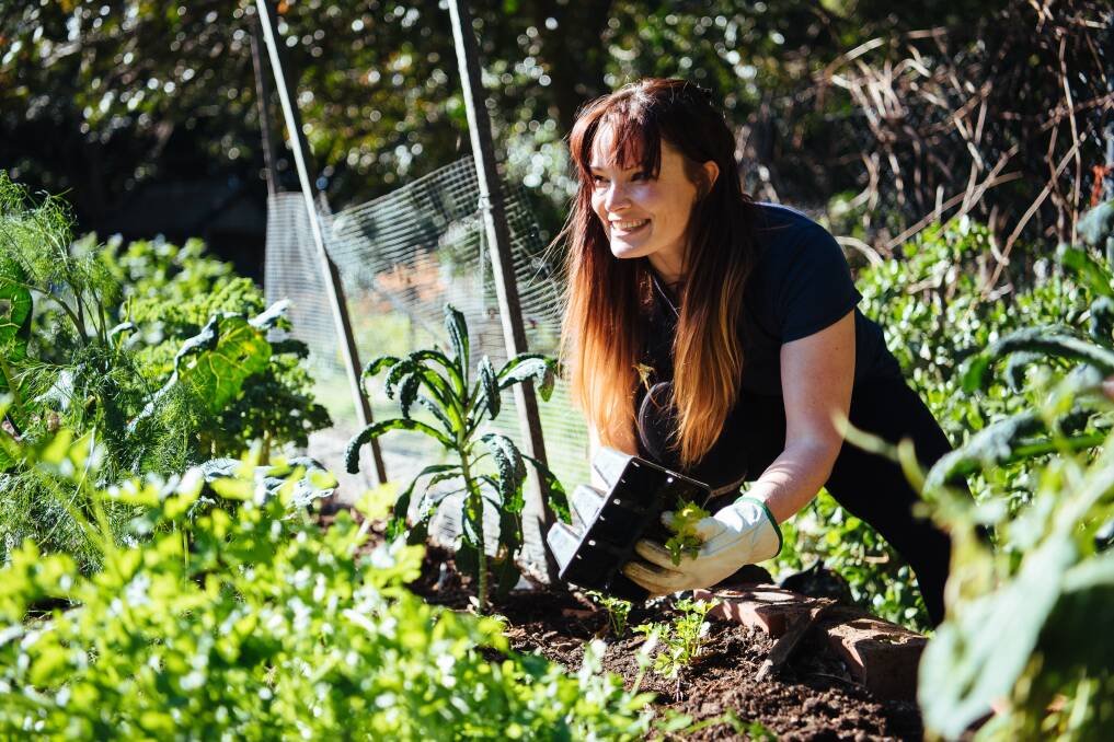 Group effort: Anthea planting in the Smokva community garden. Picture: Lee Illfield.