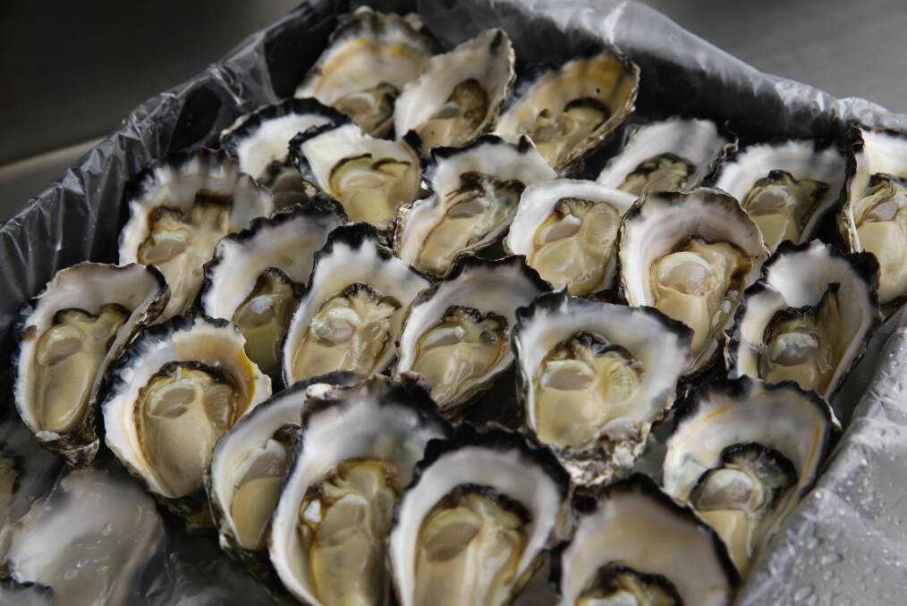 Fresh daily: A tray of top grade Sydney Rock Oysters at Dawsons Oysters. Picture: Jonathan Carroll