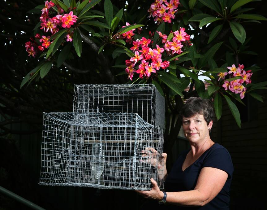 BACKYARD BLITZ: Christine Moore frequently sets up her Indian myna trap in Adamstown Heights and euthanises the birds. Picture: Marina Neil.