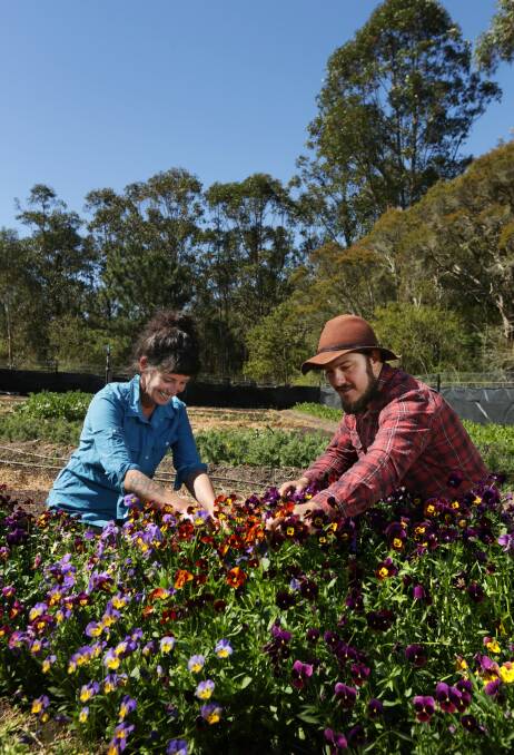 ORIGINALS: Elle Brown and Dylan Abdoo operate microgreens and specialty food producer Newcastle Greens, winner of state and national awards for its quality produce. Picture: Simone De Peak