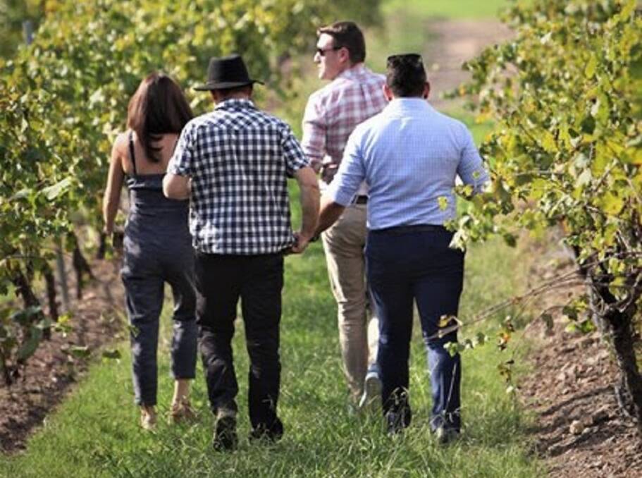 EDUCATIONAL: Go on a behind-the-scenes tour of Macquariedale Organic Wines on September 14 as part of National Organic Week Australia. Picture: Supplied