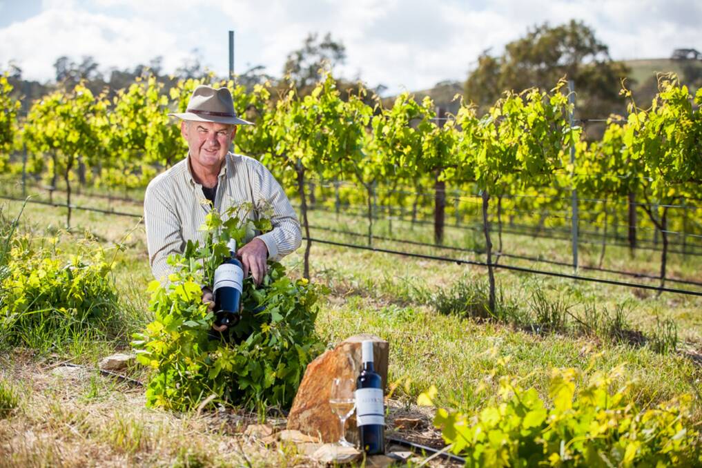 GROUNDBREAKING: Jim Barry Wines' managing director Peter Barry established assyrtiko vines in the Clare Valley.
