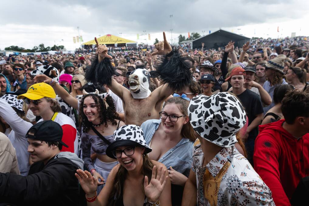 Groovin The Moo Maitland, 2023. Picture by Marina Neil